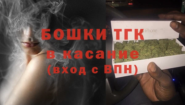 мет Бородино