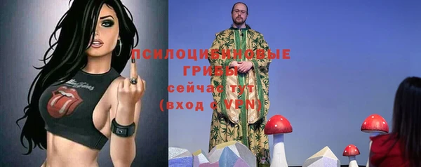 мет Бородино