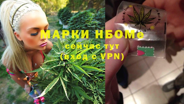 прущие грибы Верхнеуральск