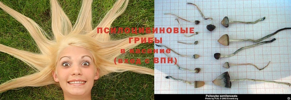 apvp Бугульма
