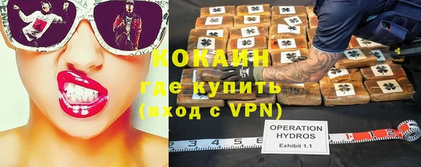 прущие грибы Верхнеуральск