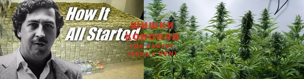 apvp Бугульма
