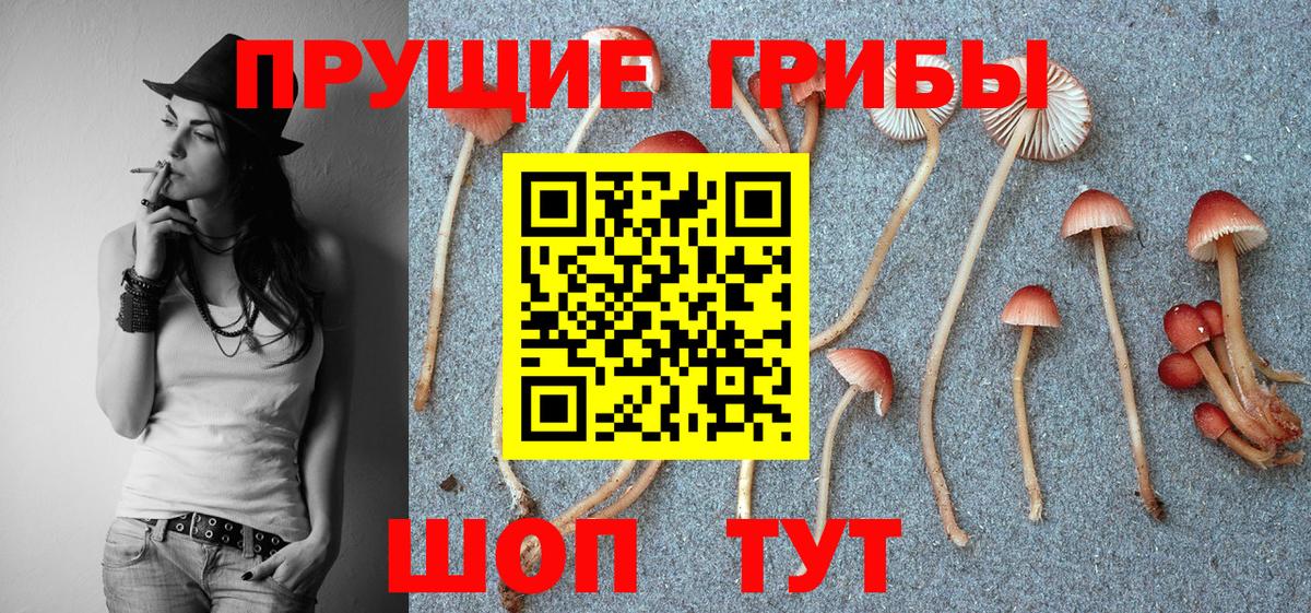 Псилоцибиновые грибы мухоморы  Вход с VPN  Гай 
