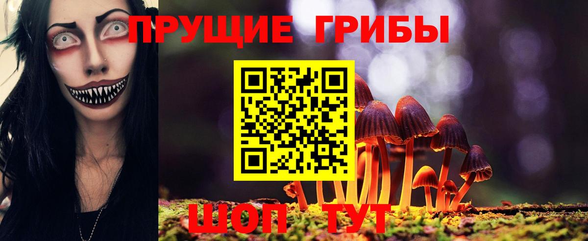 Псилоцибиновые грибы Psilocybine cubensis Гай